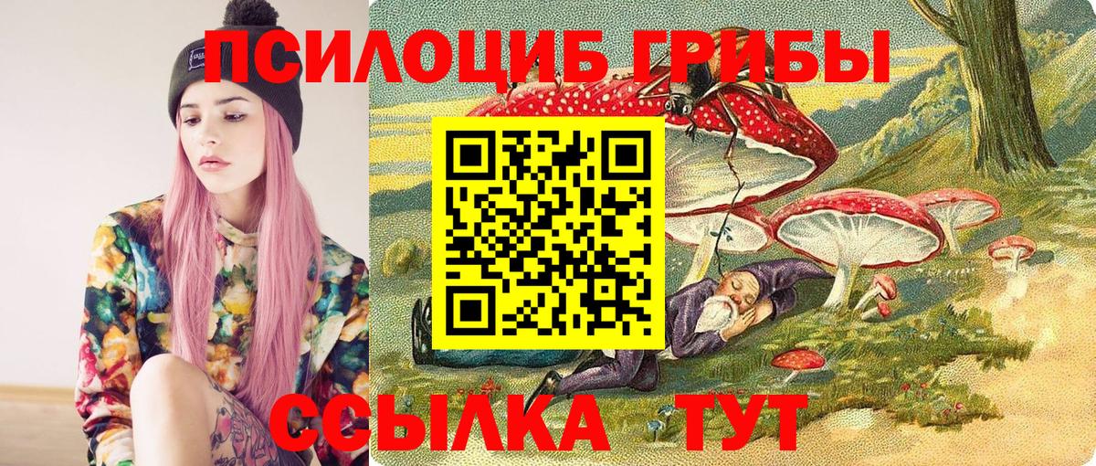Галлюциногенные грибы Magic Shrooms Дубна
